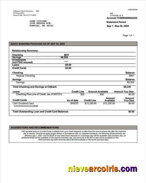 USA Citibank account statement Word and PDF, version 2